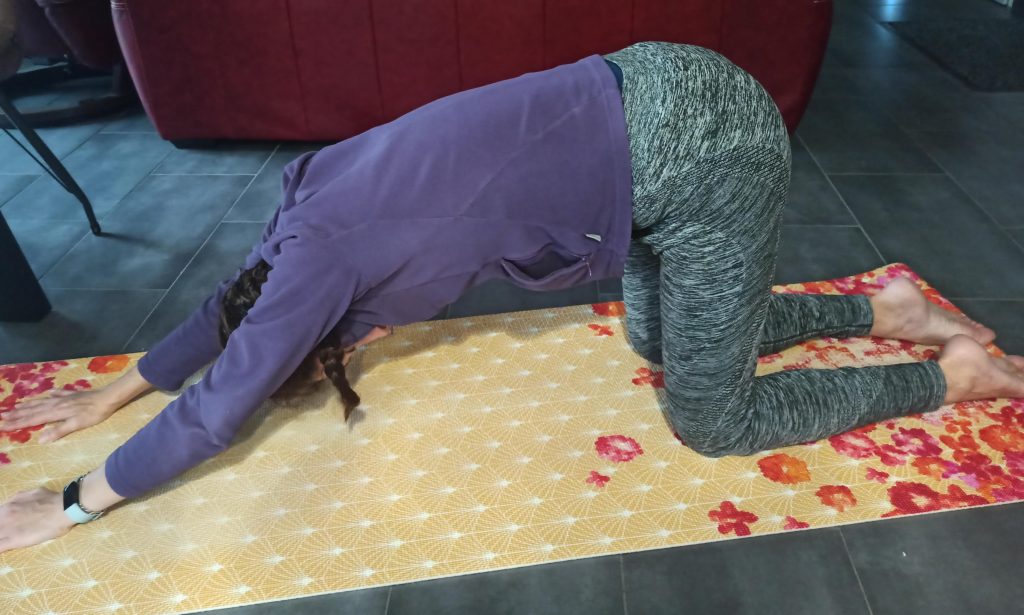 yoga traditionnel